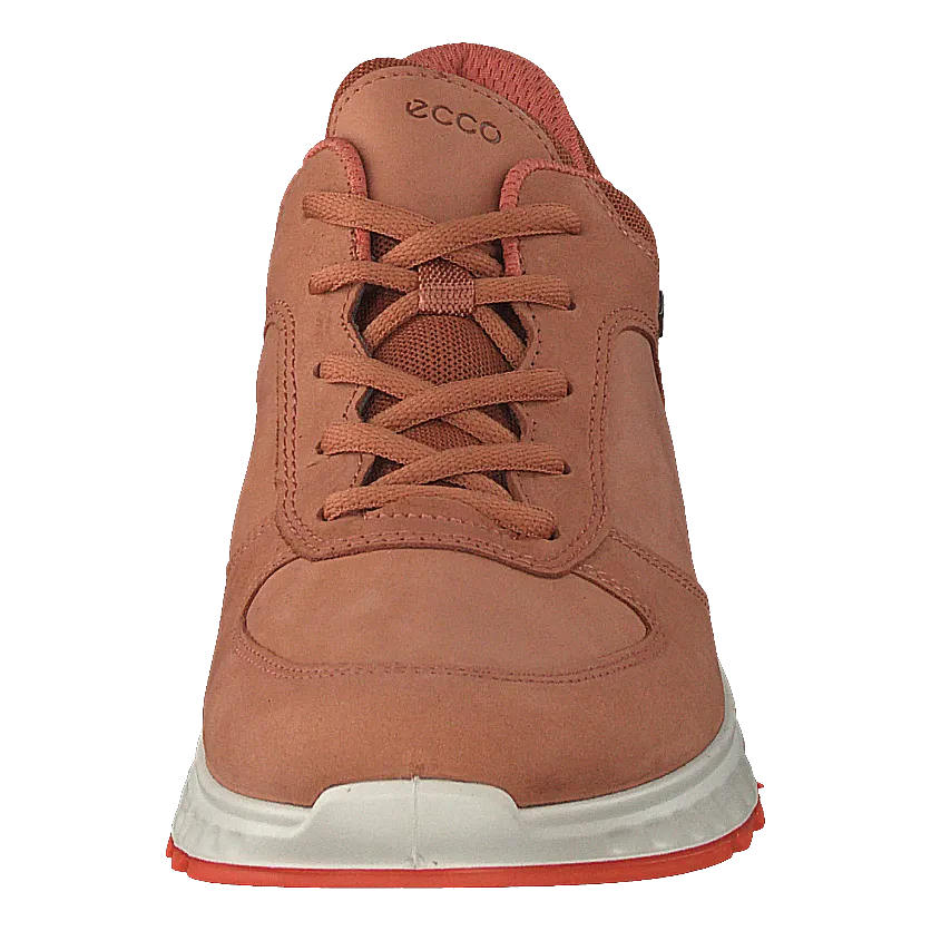 Ecco Exostride W Sierra