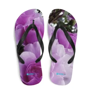 Flip-Flops