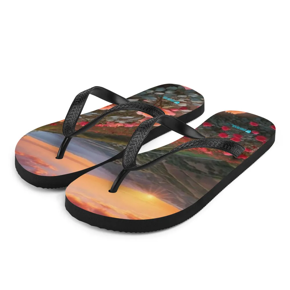 Flip-Flops