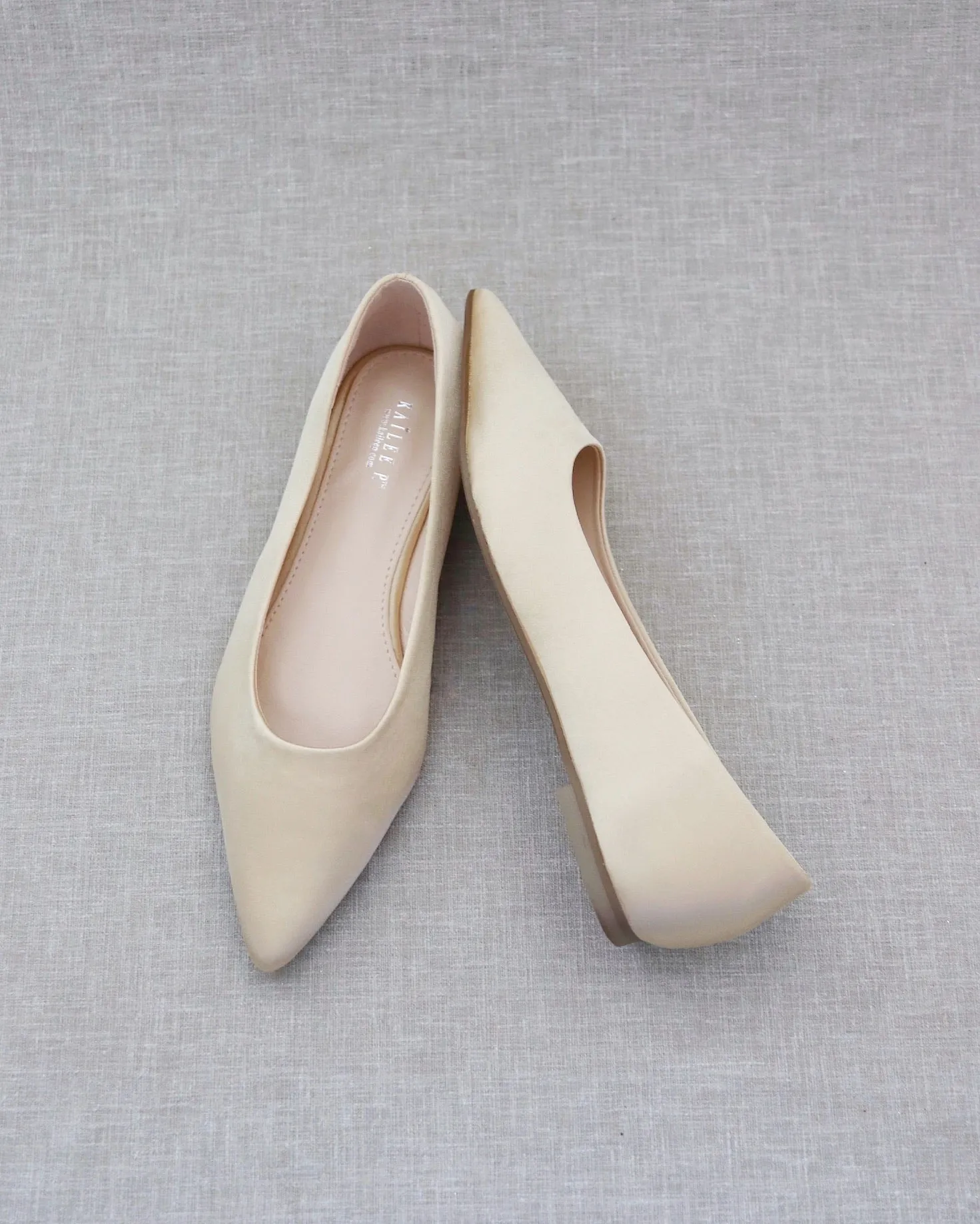 Pointy Toe Flats