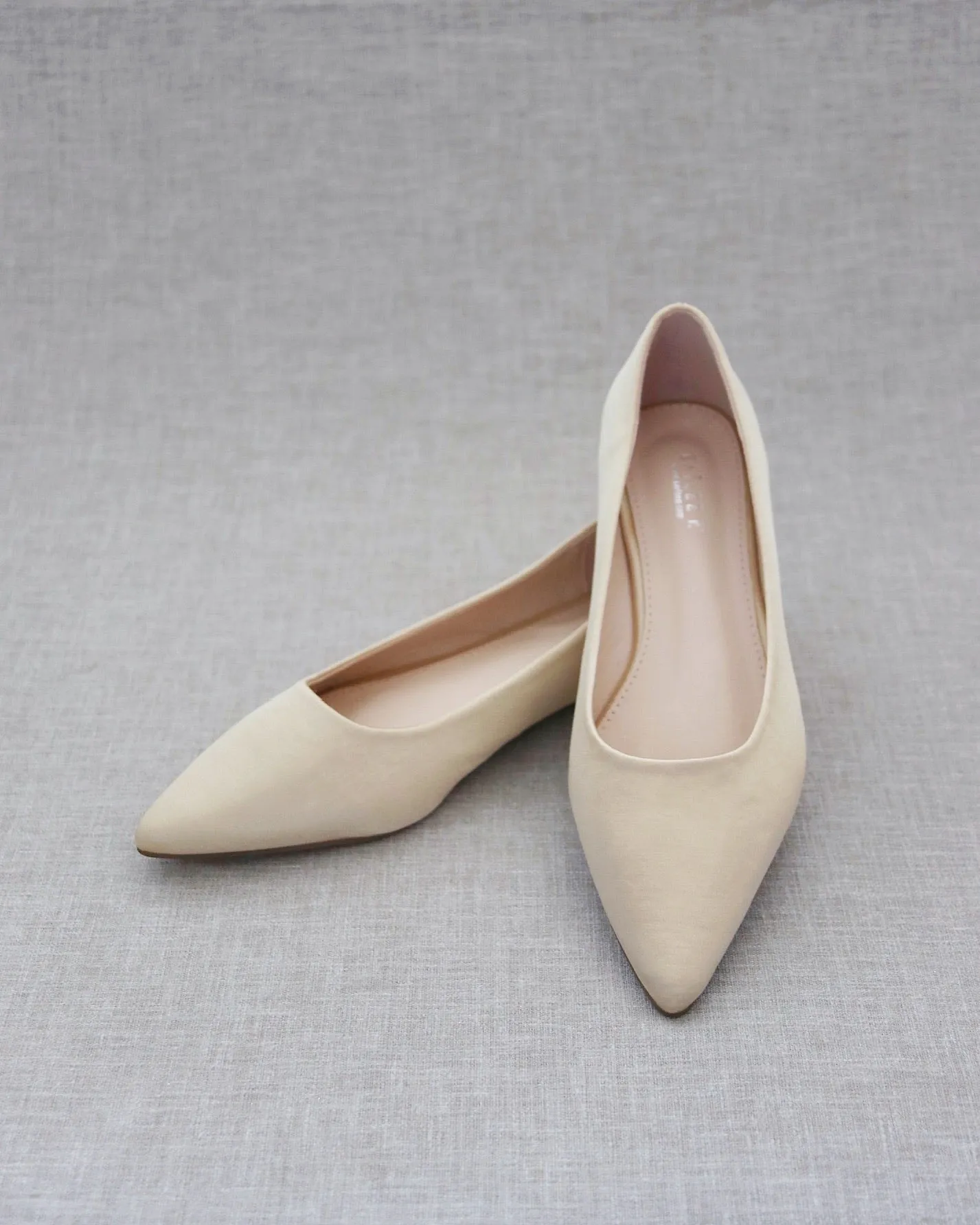 Pointy Toe Flats