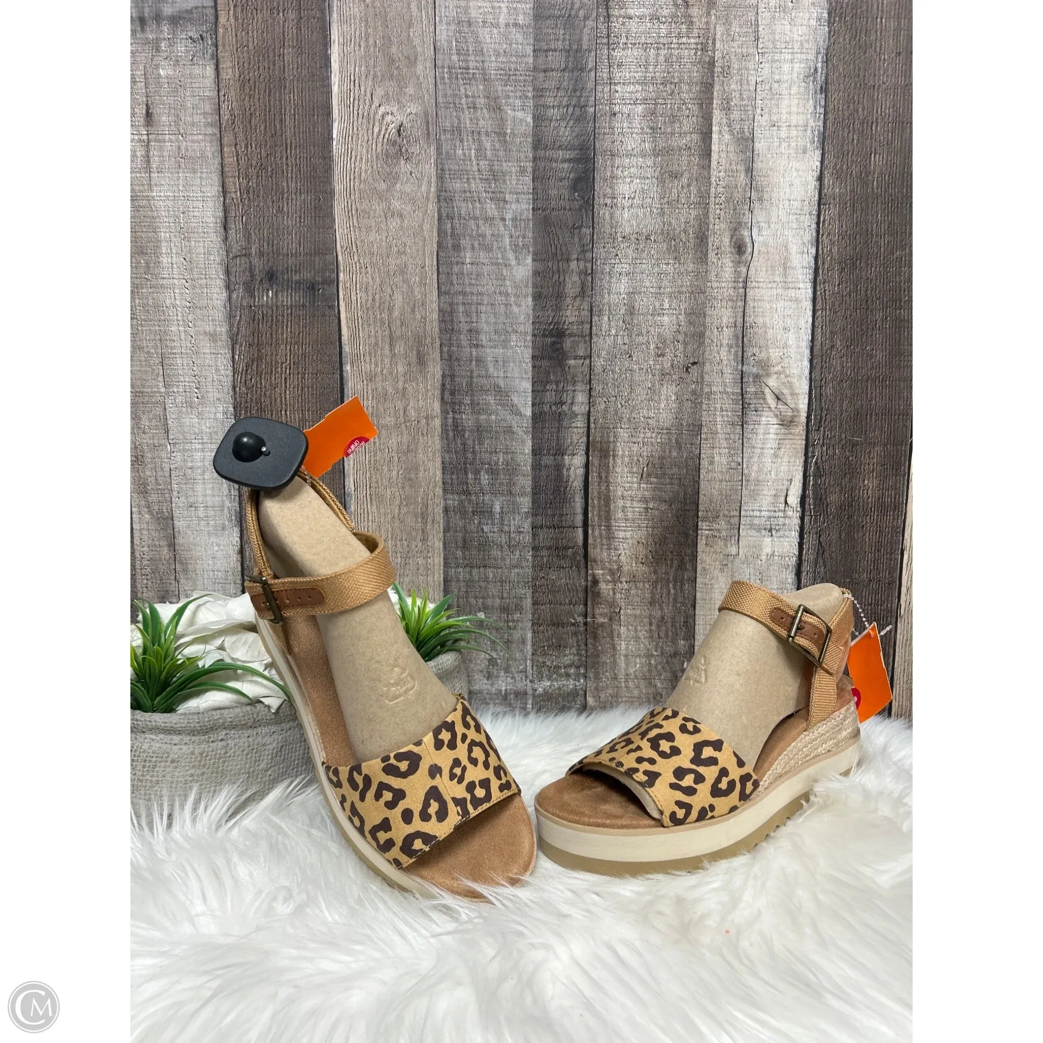 Sandals Heels Wedge By Toms In Multi-colored, Size: 8