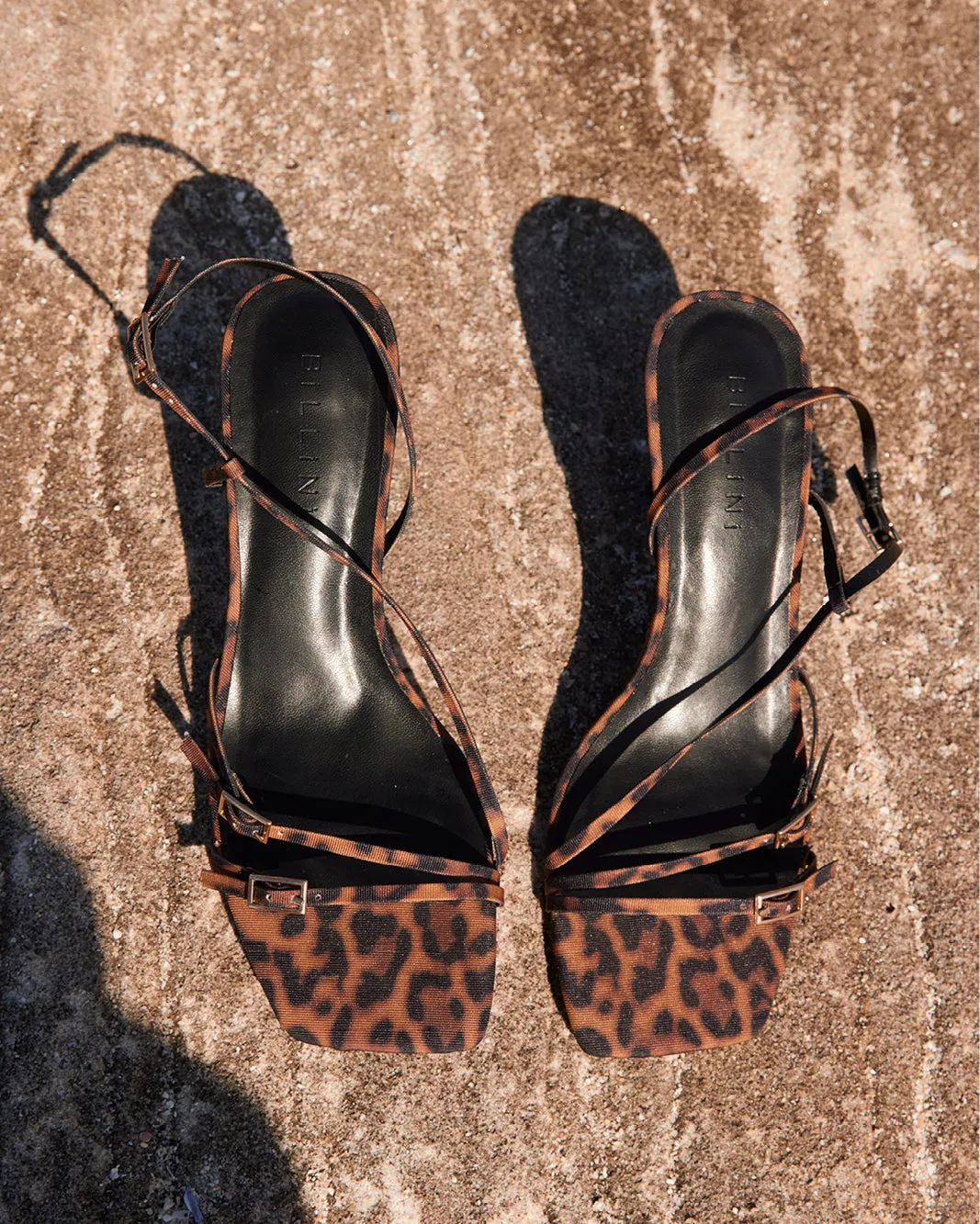TOSHIE - LEOPARD