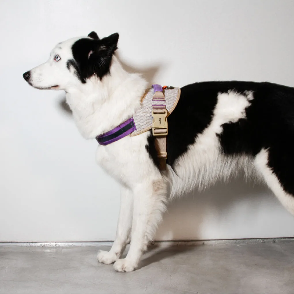 Zee.Dog FlyHarness | ACG
