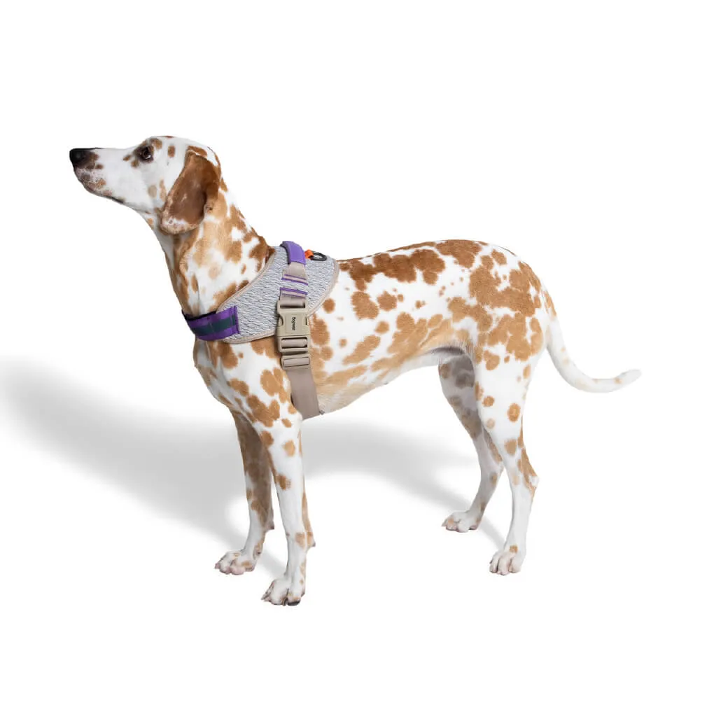 Zee.Dog FlyHarness | ACG